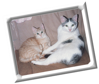 Clarence und F�chsi1