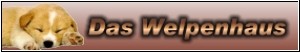 Welpenhaus